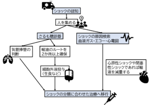 【これでショックは恐くない:後編】看護師必見「ショックの急変対応を解説!」 | 教えてカメさん | 看護師向け情報メディア