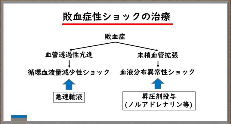 【これでショックは恐くない:後編】看護師必見「ショックの具体的対応・要因毎の治療法を解説!」 | 教えてカメさん | 看護師向け情報メディア